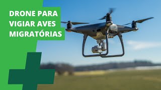 Miniatura do vídeo