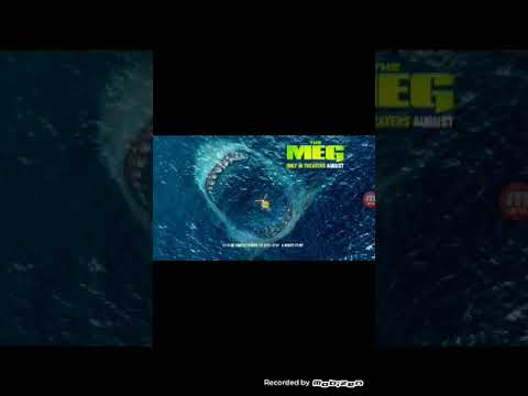 The Megalodon Hungry Shark nitro hard