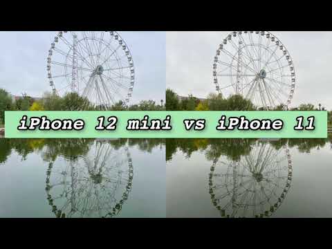 iPhone 11 vs iPhone 12 mini Camera  Comparison Test