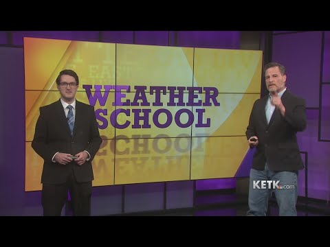 Pollen Count Katy Tx