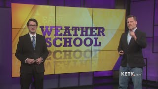 Weather School: what do the pollen counts mean