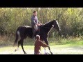 Детская песенка про лошадку. Развивающее видео для детей 