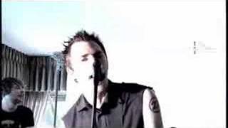 Allister - A Lotta Nerve