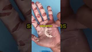 Fatos Curiosos 😰 #fatoscuriosos #curiosidades #conhecimento #viral #fyp