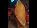 Jhagda Chhod De Samariya Ney Bahu Ka Nach