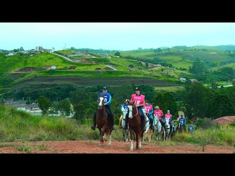 Mangalarga Marchador TV - 403