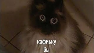 10.10 лекция:3