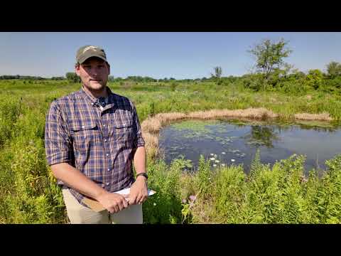 Protecting the West Branch From Zebra Mussels