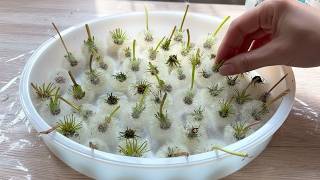 NO EXPERIENCE! Anyone Can Make This Resin Flower Table 🌸✨ Easy DIY With Stunning Results