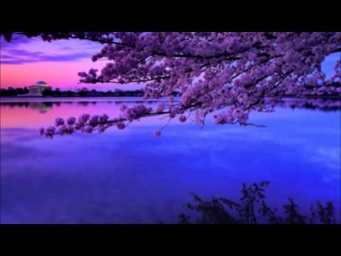 Gabonic - April 2015 Mix (Progressive Psytrance DJ Set)