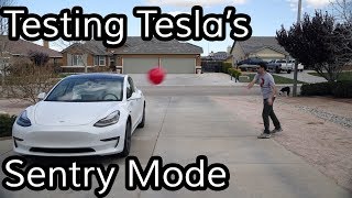 Does Tesla&#39;s Sentry Mode Work?