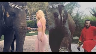 French Montana and Iggy Azalea RIDE on ELEPHANTS for His Birthday