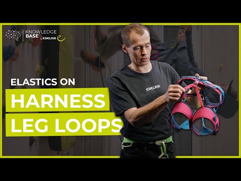 Огляд регулювання задніх еластичних строп