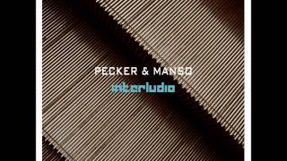 Pecker & Manso - Wonderful Thing