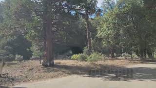 Download the video "Bottom of Glass rd drive into 7 Oaks"