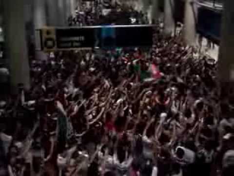 A Melhor e Mais Bonita Torcida do Mundo