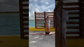 🌍 GUESS THE PORT NAME! 🛳️ This stunning view is from one of the most iconic cruise ports in the