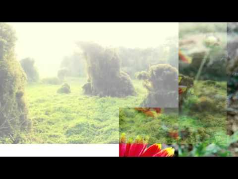 Camera sample Infocus m810