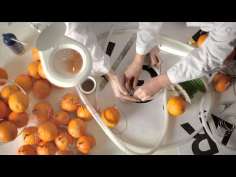 Tropicana - Customer Success Story