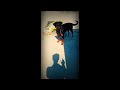 Rottweiler Dog Aggressive Dog Barking Loudly Dog Sounds Dog Video
