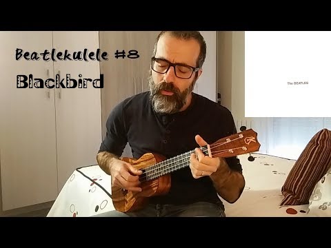 Imagen de previsualización de YouTube