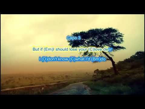 I'll Never Find Another You - The Seekers