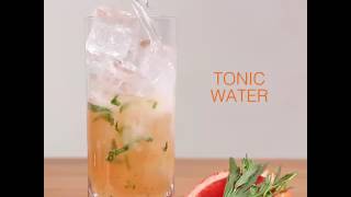 Gin And Tonic 4 Ways