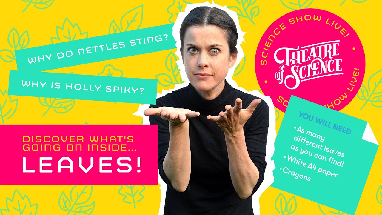 Interactive Science Lesson: Leaves!