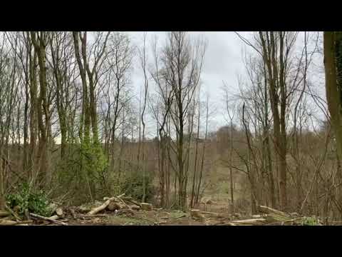 Colin's Weekly Vlog - Episode 7