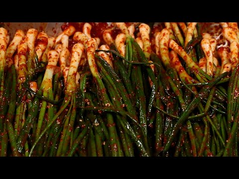 파김치 쉽고 맛있게 담는법 재료도 간단하고 자세한 레시피로 따라해보세요!