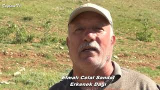 Download lagu Elmalı Cumali Sandal. Şu Yüce Dağları Duman Bürümüş. mp3