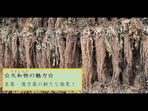 治療適応別の薬用植物リスト - 定義
