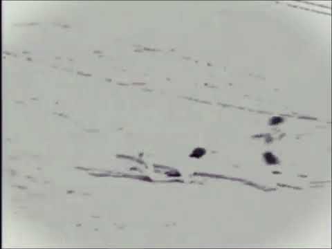 Nacional-AM 2 x 4 Atlético-MG Brasileirão de 77 - Manaus AM