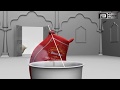Visual Effect 3D AD Basmati Commercial