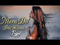 Mera Dil Bhi Kitna Pagal Hai | Atif Aslam|[ Slowed & Reverb ]|Lo-fi Song