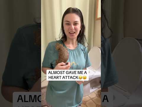 My soul left my body😂😮‍💨 #livszoo #lucythedragon #beardeddragon #funnyanimals #pets