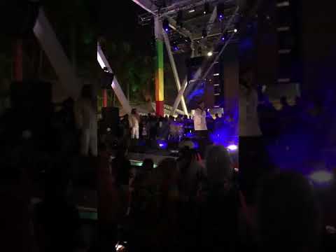 Marley Brothers- The Mission Kaya Fest 2019