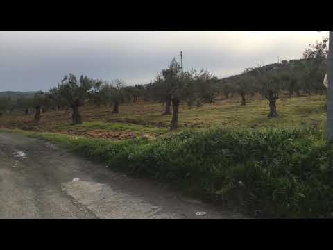 Ridley MTB First Ride