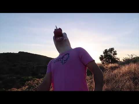 Cavallo Fidgetto Spinaar