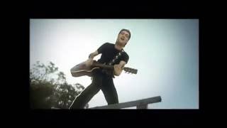 Beating Around The Bush