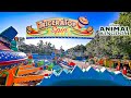 TriceraTop Spin On Ride 4K POV Disney S Animal Kingdom 2024 09 24