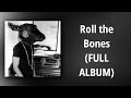Shakey Graves // Roll the Bones (FULL ALBUM)