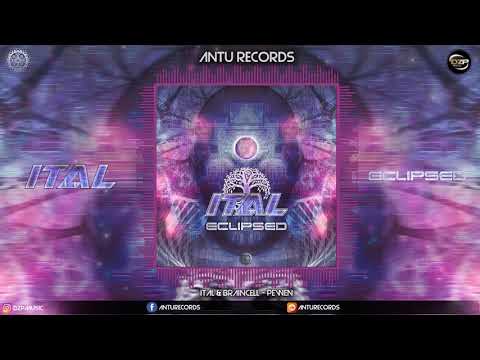 Ital & Braincell - Pewen