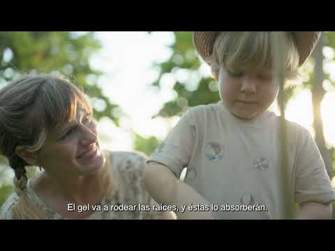 Costas Verdes: Expanding Costa Rica's Coastal Forest Restoration
