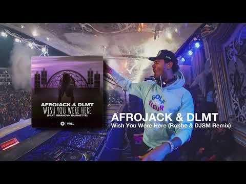 Afrojack & DLMT - Wish You Were Here (Robbe & DJSM Remix)