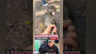 Download lagu Hiburan warga 62 video lucu bikin ngakak sakit perut meme lucu tahan tawa funny video #shorts #funny mp3