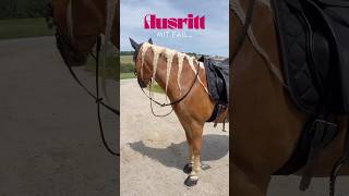 #fail beim Ausreiten😅 Dieses Pony ist einfach zu neugierig 😅 #pferd #pferdefail #ausreiten