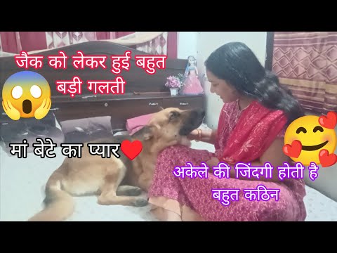 Sometimes I get surprised seeing so much love ♥️ and mischief of Jack 🥰 #vlog #funnydog #dog #jac...