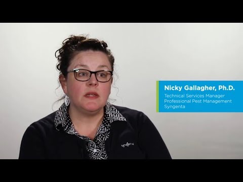 Syngenta Technical Managers Explain SecureChoice Assurance Programs