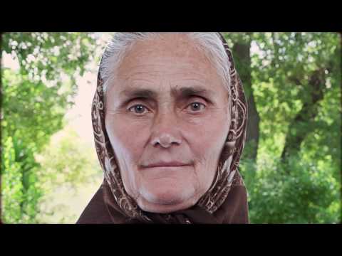 Forno Brisa - This is FB